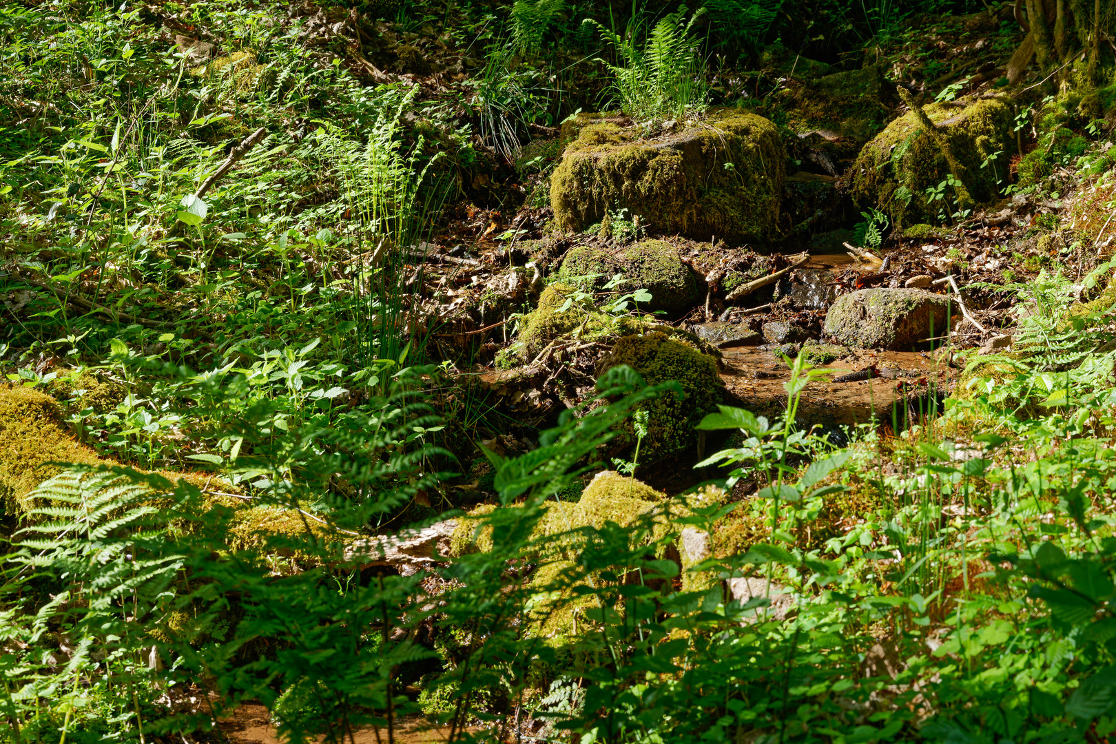 Am Waldbach