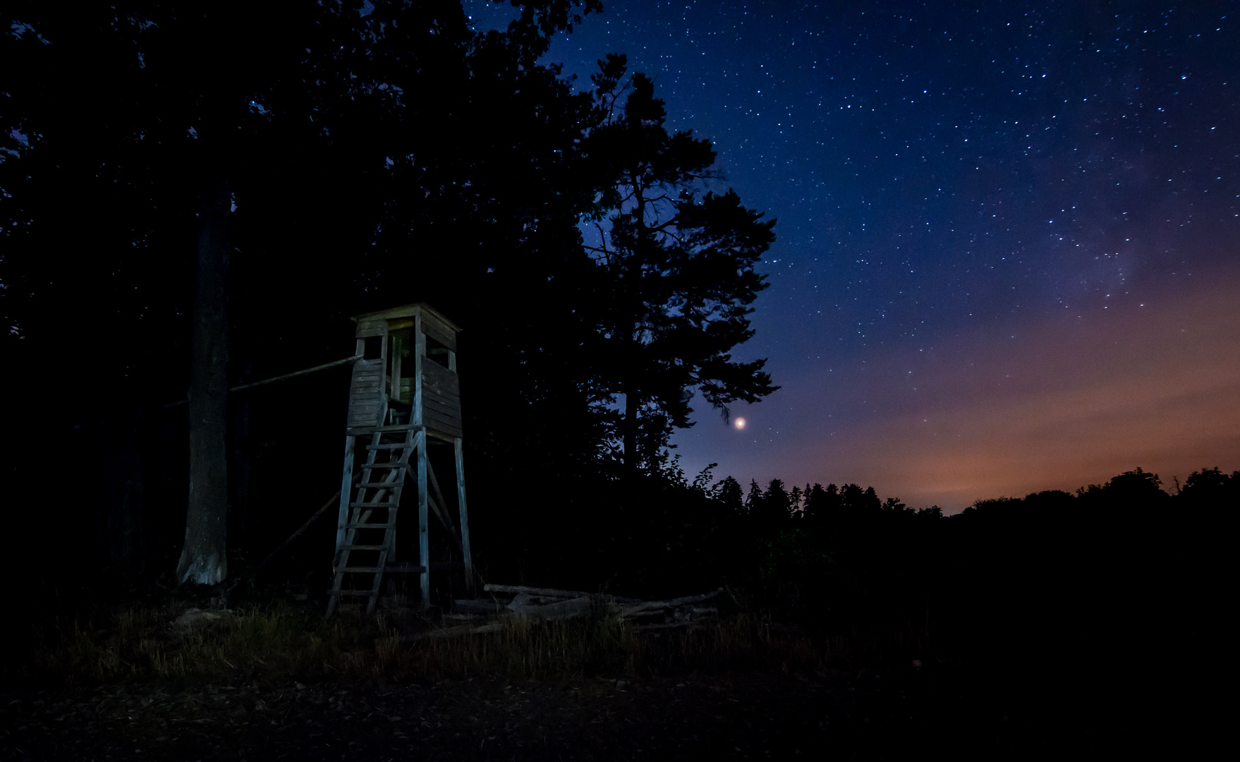 Am Waldrand bei Nacht 