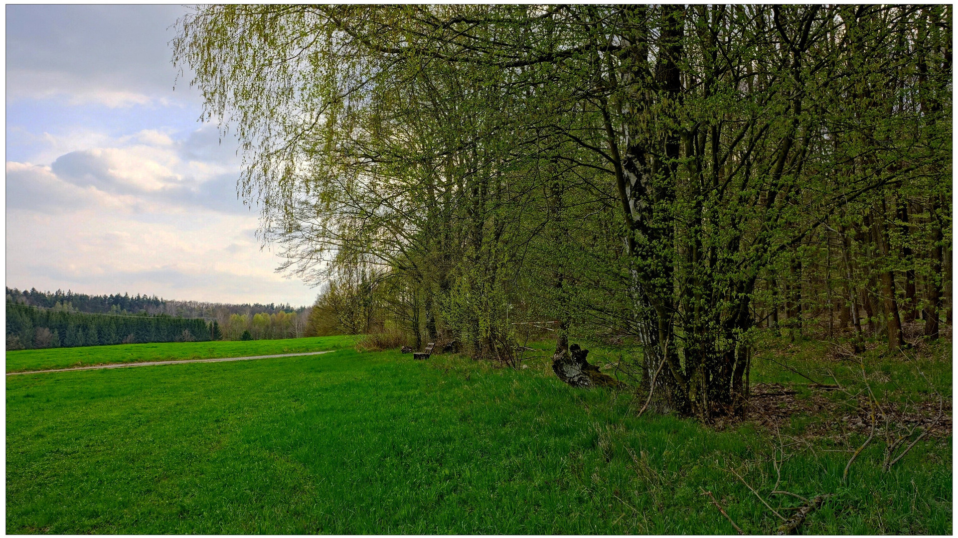 Am Waldrand (en el borde del bosque)