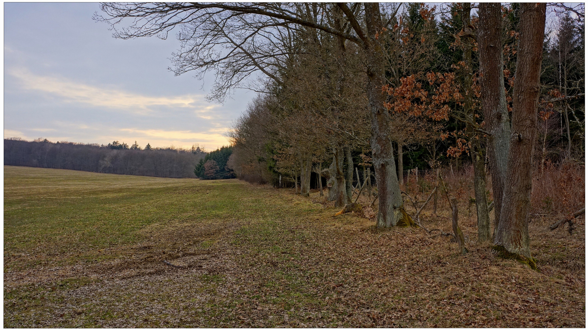 Am Waldrand (en el borde del bosque)