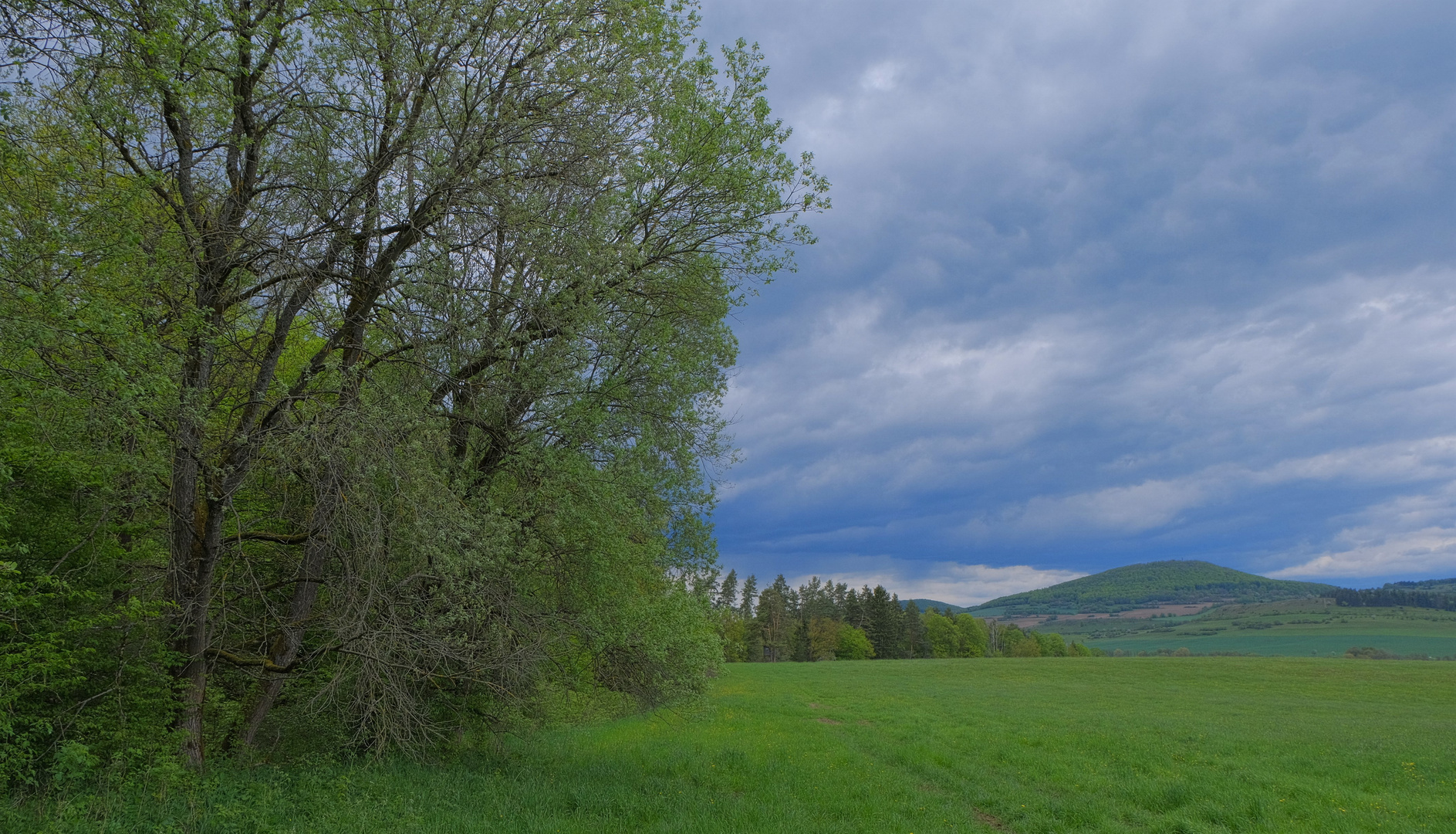 am Waldrand (en el borde del bosque)