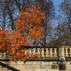 Am Waldschlösschen