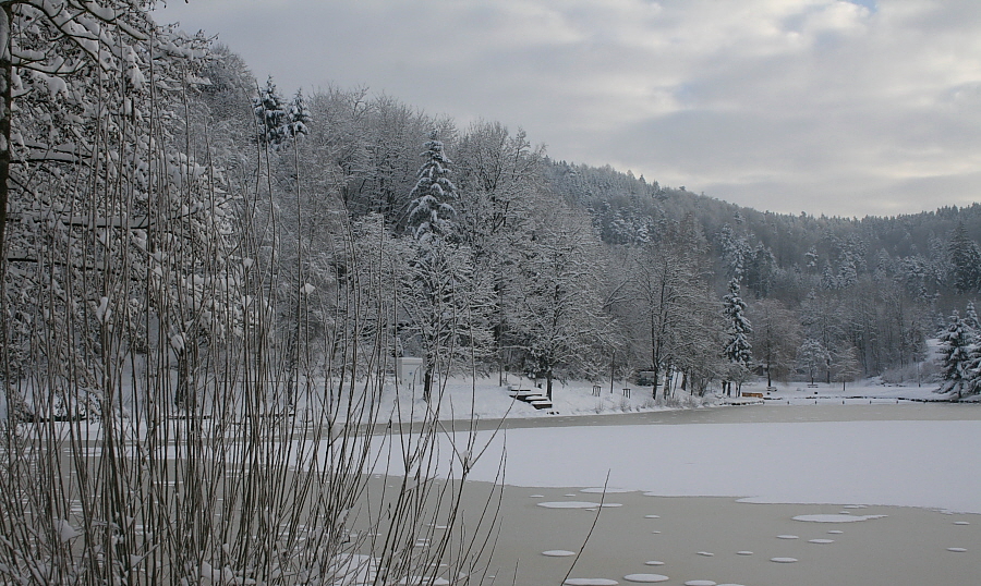 Am Waldsee 01