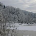 Am Waldsee 01