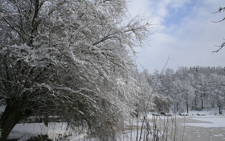 Am Waldsee 02