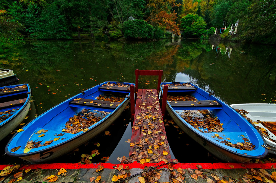 Am Waldsee