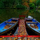 Am Waldsee