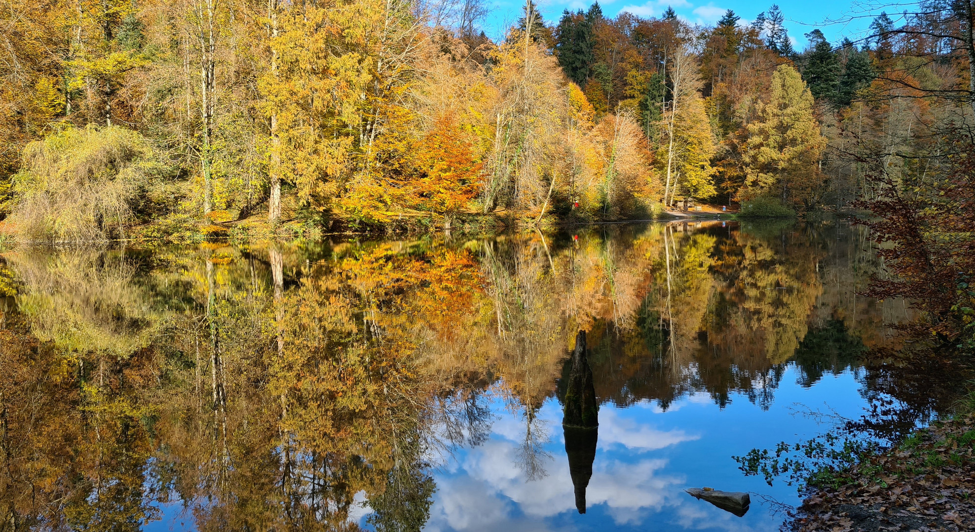 Am Waldsee