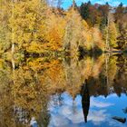 Am Waldsee