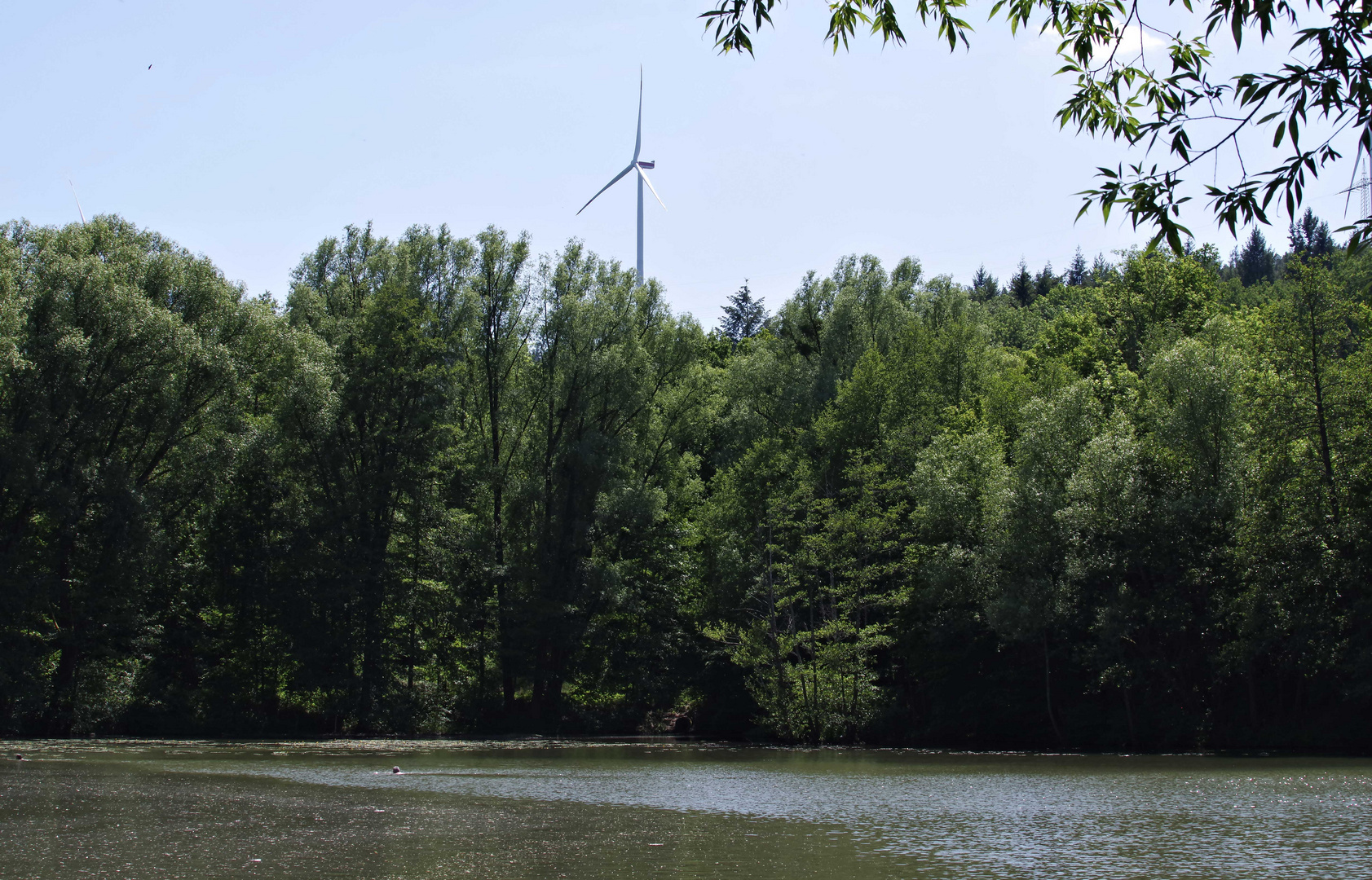 ...am Waldsee