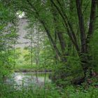 Am Waldsee