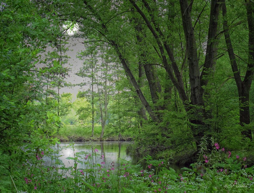 Am Waldsee