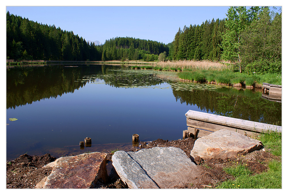 Am Waldsee