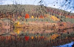 Am Waldsee