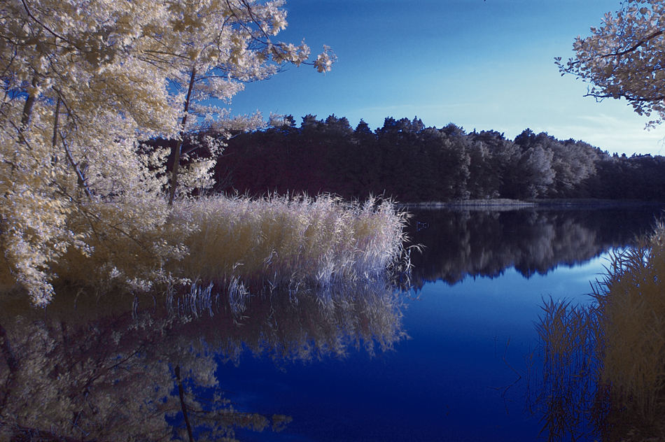 Am Waldsee 3