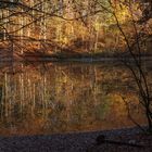 Am Waldsee