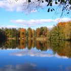 Am Waldsee