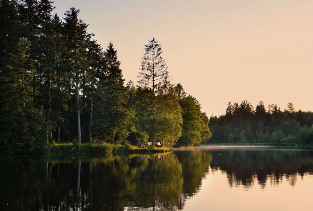 am Waldsee