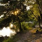 Am Waldsee