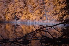 Am Waldsee