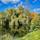 Am Waldsee