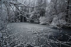 Am Waldsee