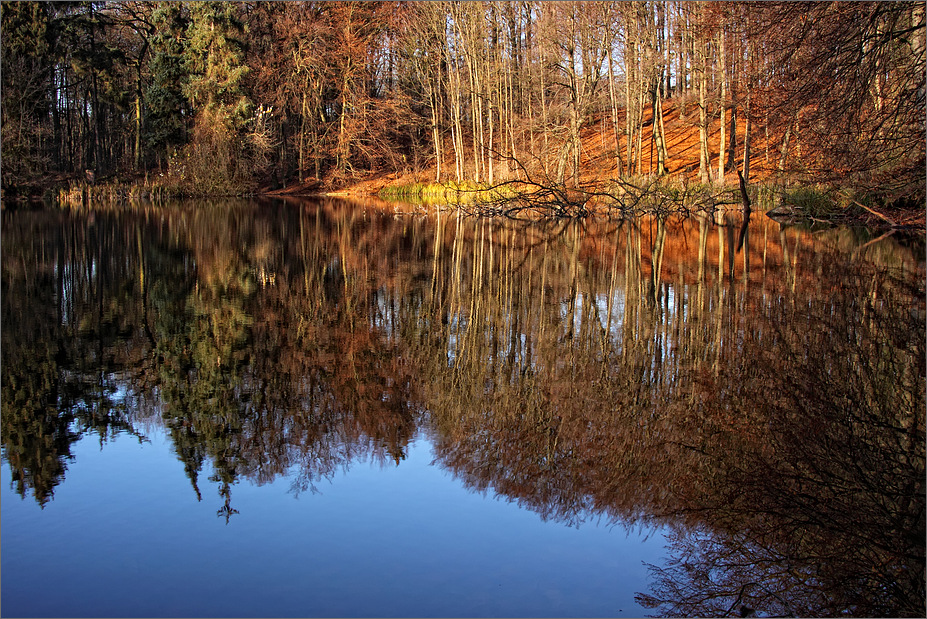 Am Waldsee