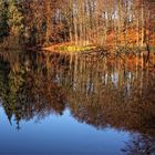 Am Waldsee