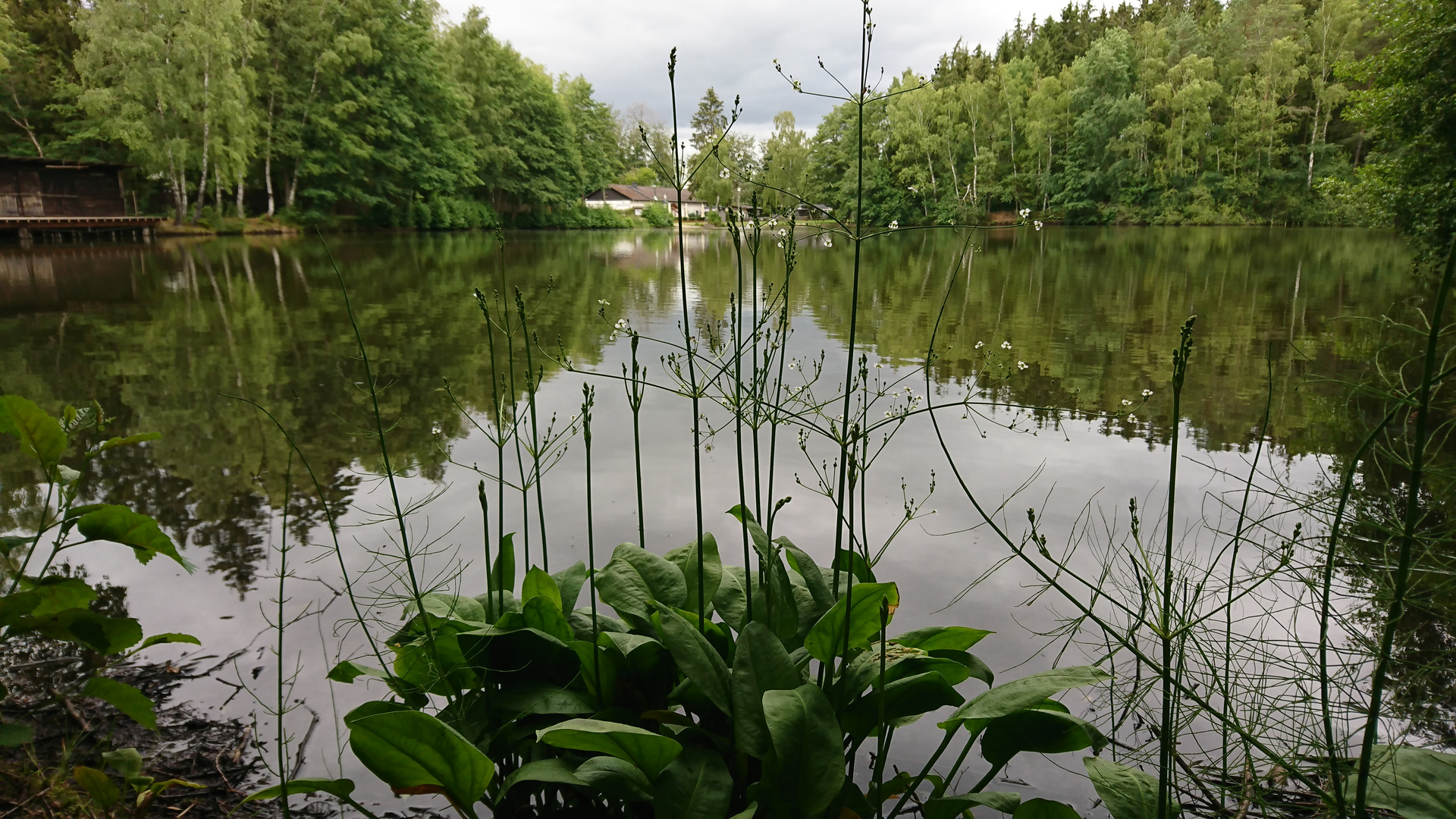 Am Waldsee