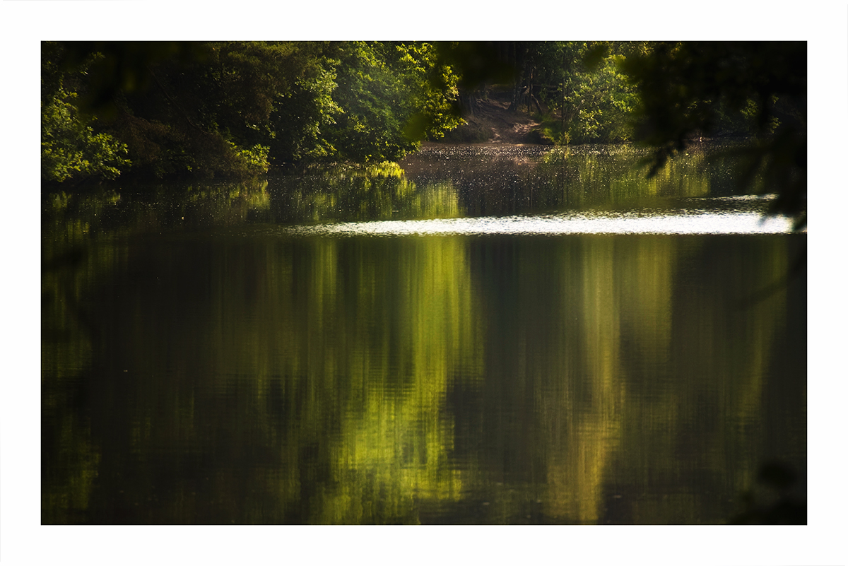 Am Waldsee