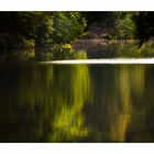 Am Waldsee