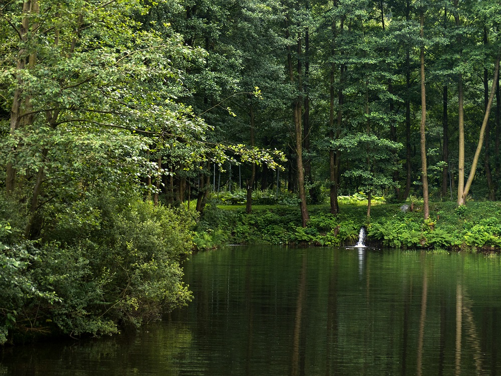 Am Waldsee