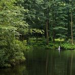 Am Waldsee