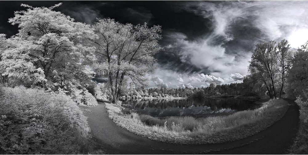 Am Waldsee II