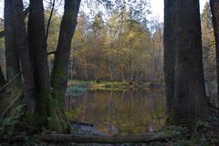 am waldsee kehrt ruhe ein