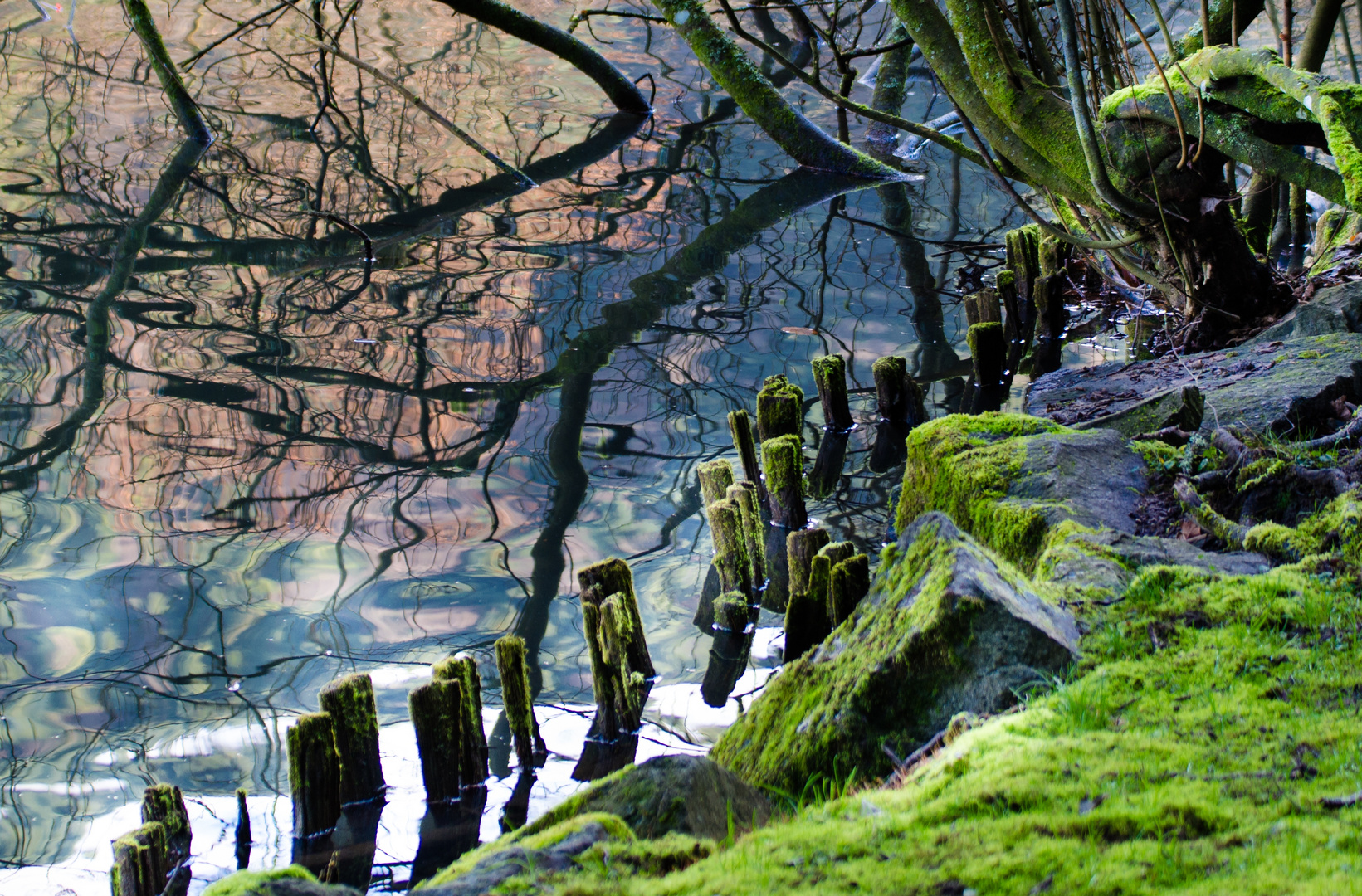 Am Waldseeufer