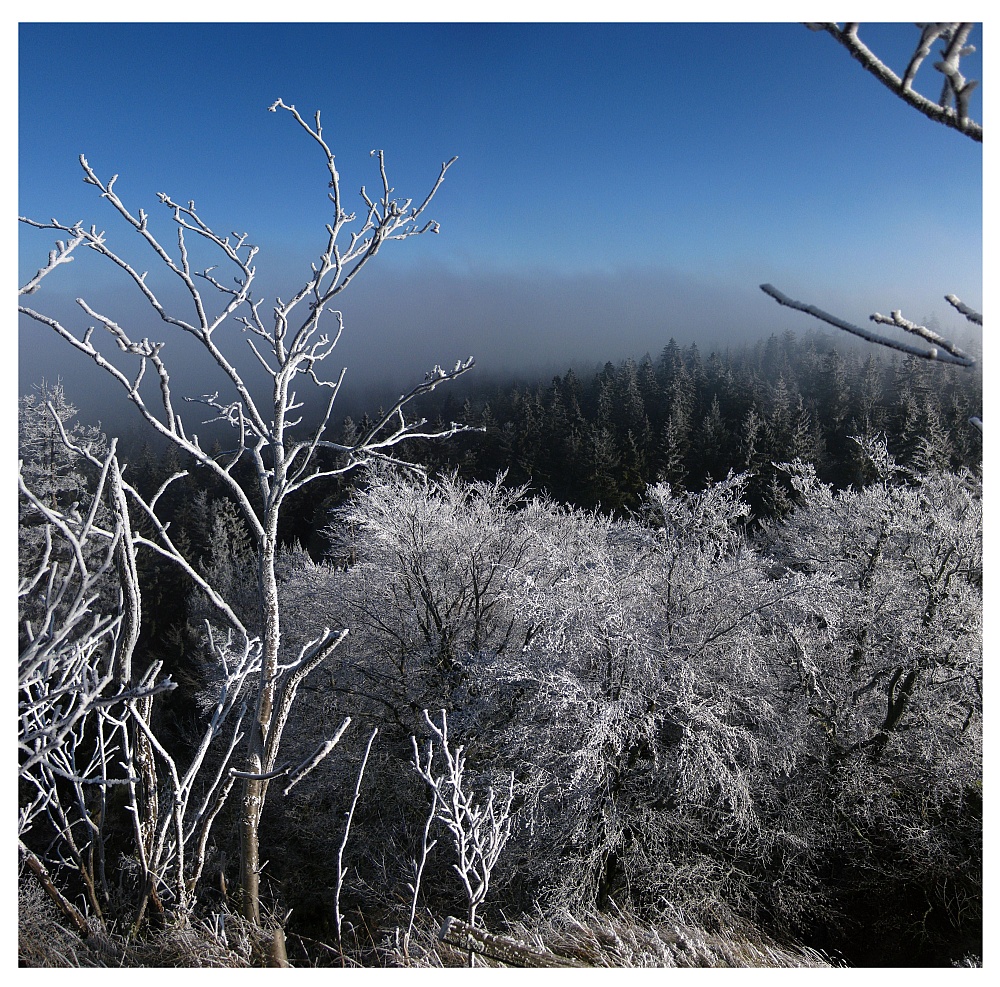 Am Waldstein im Fichtelgebirge