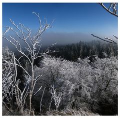 Am Waldstein im Fichtelgebirge