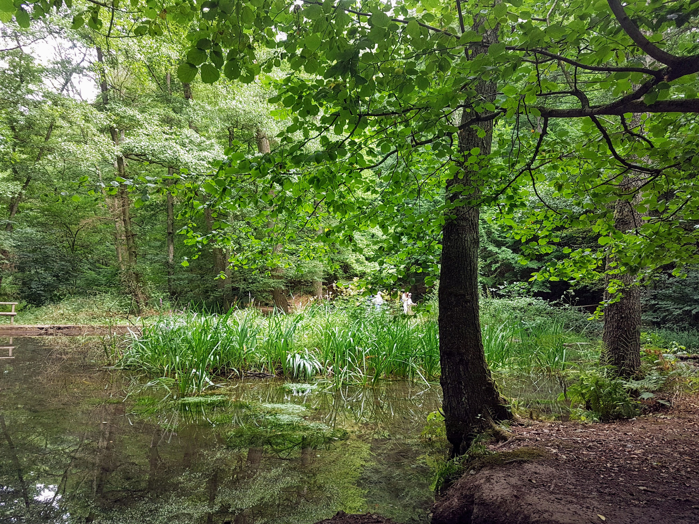 Am Waldteich 1