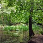 Am Waldteich 1