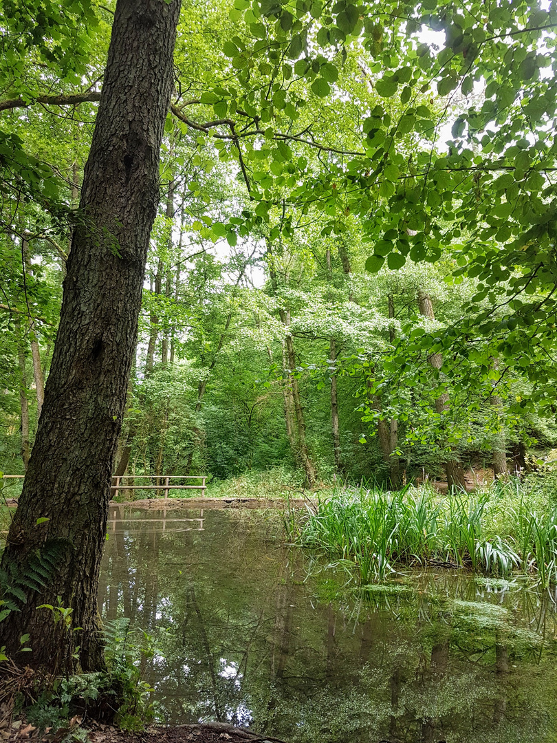 Am Waldteich 2.....