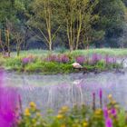 Am Waldteich