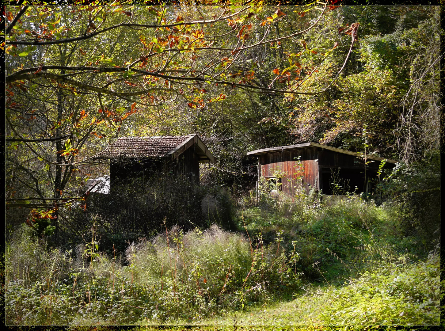 am Waldweg