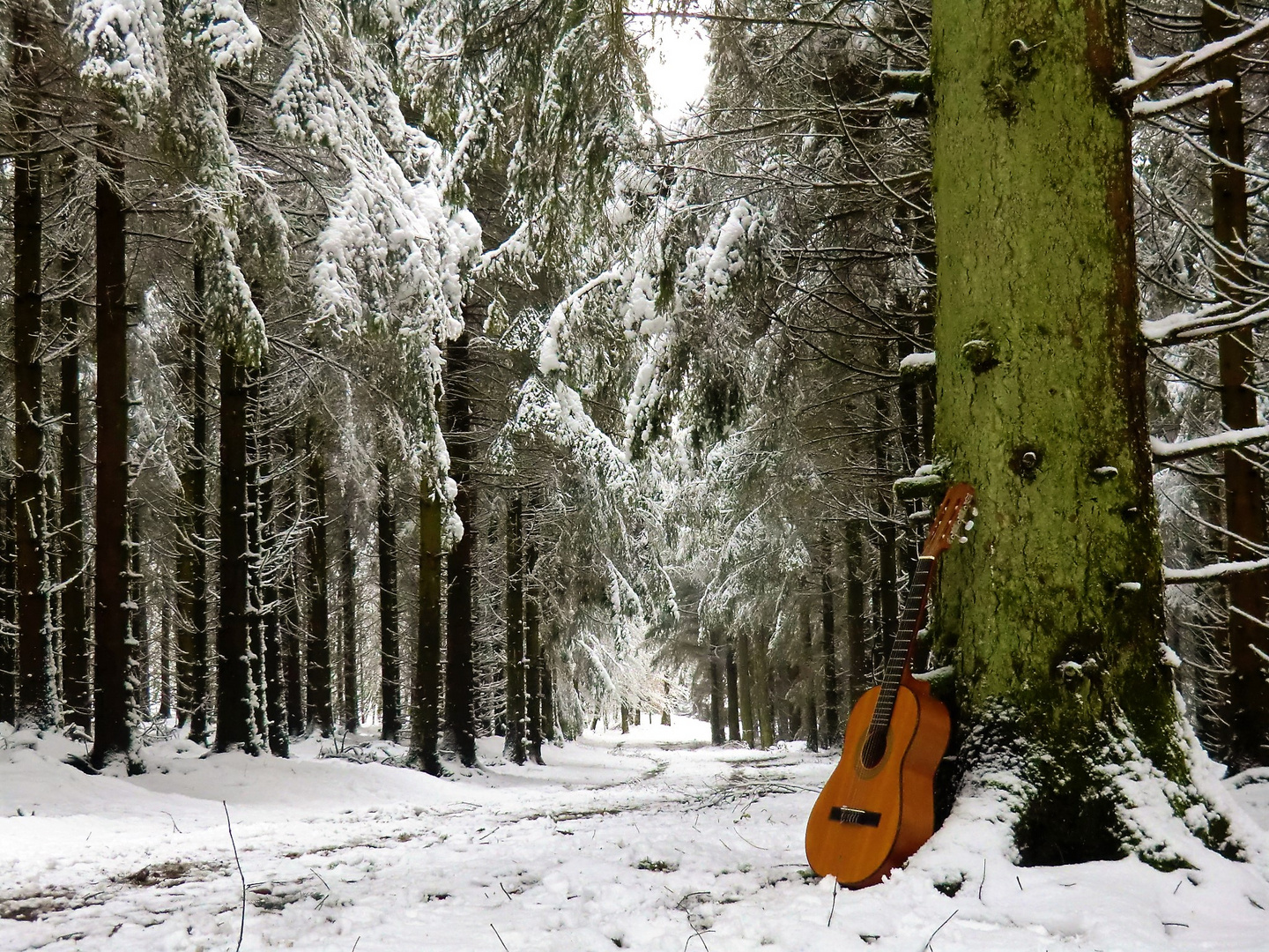 Am Waldweg