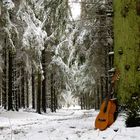 Am Waldweg