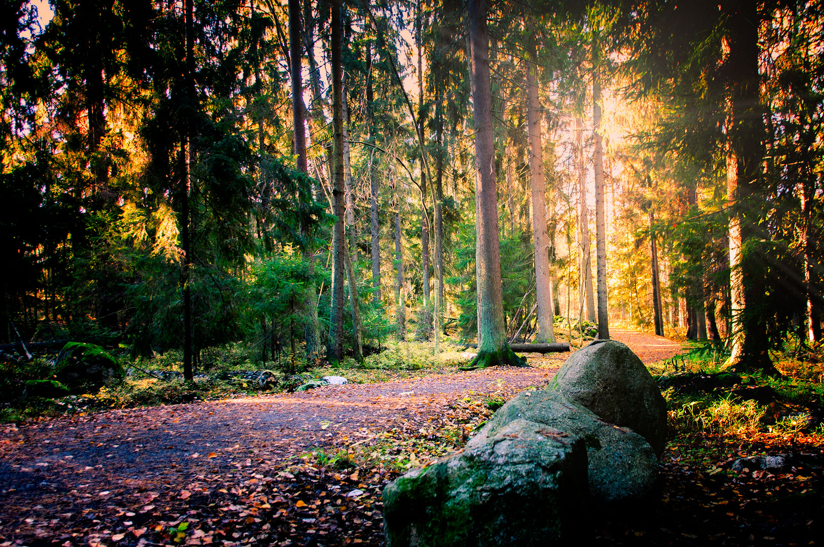 Am Waldweg