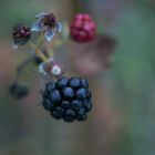 am Waldweg