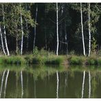 Am Waldweiher