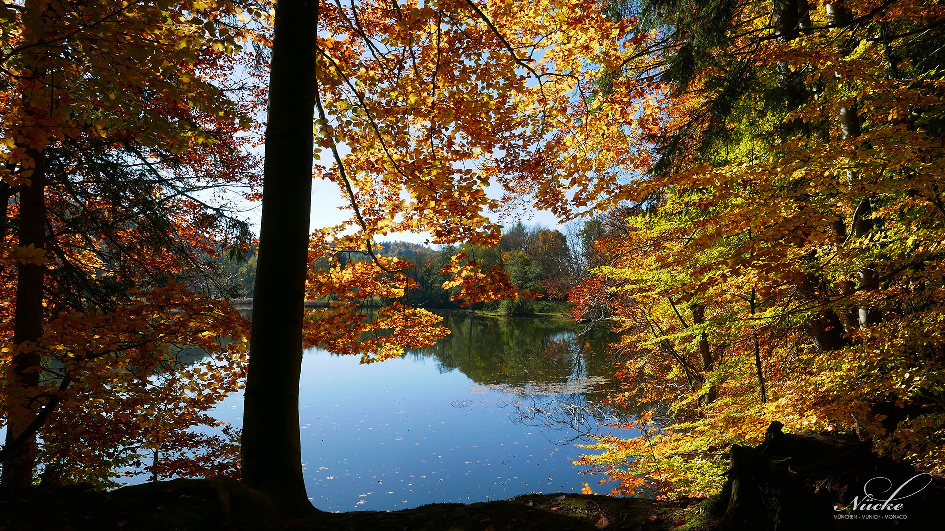 Am Waldweiher