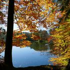 Am Waldweiher